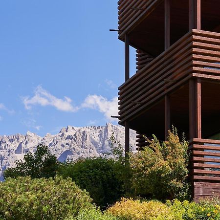 Saleghes Dolomites Residence Сельва-ди-Валь-Гардена Экстерьер фото